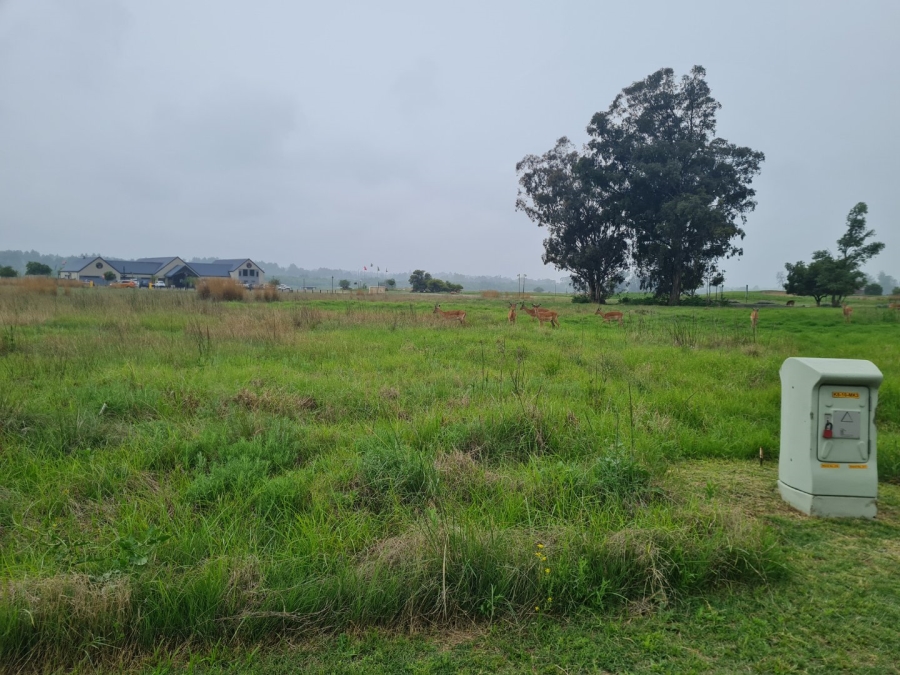 4 Bedroom Property for Sale in Heron Banks Golf Estate Free State